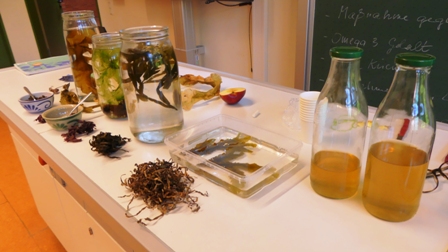 AlgaeFood 3