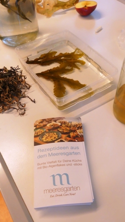 AlgaeFood 5
